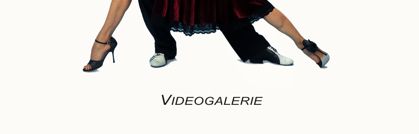 Videogalerie