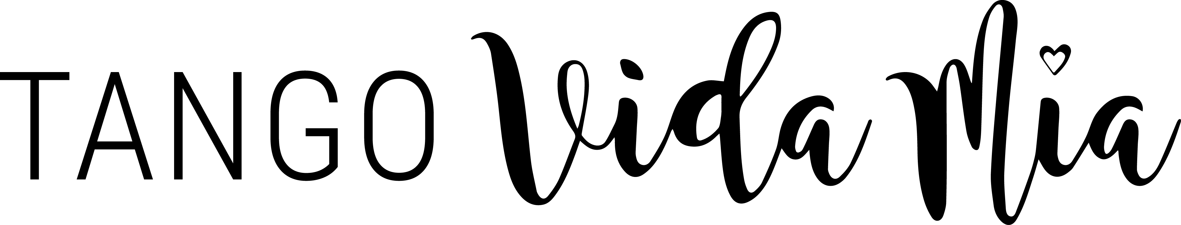 Tango VidaMia
